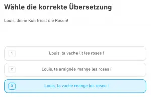 Duolingo-Übung-lustig