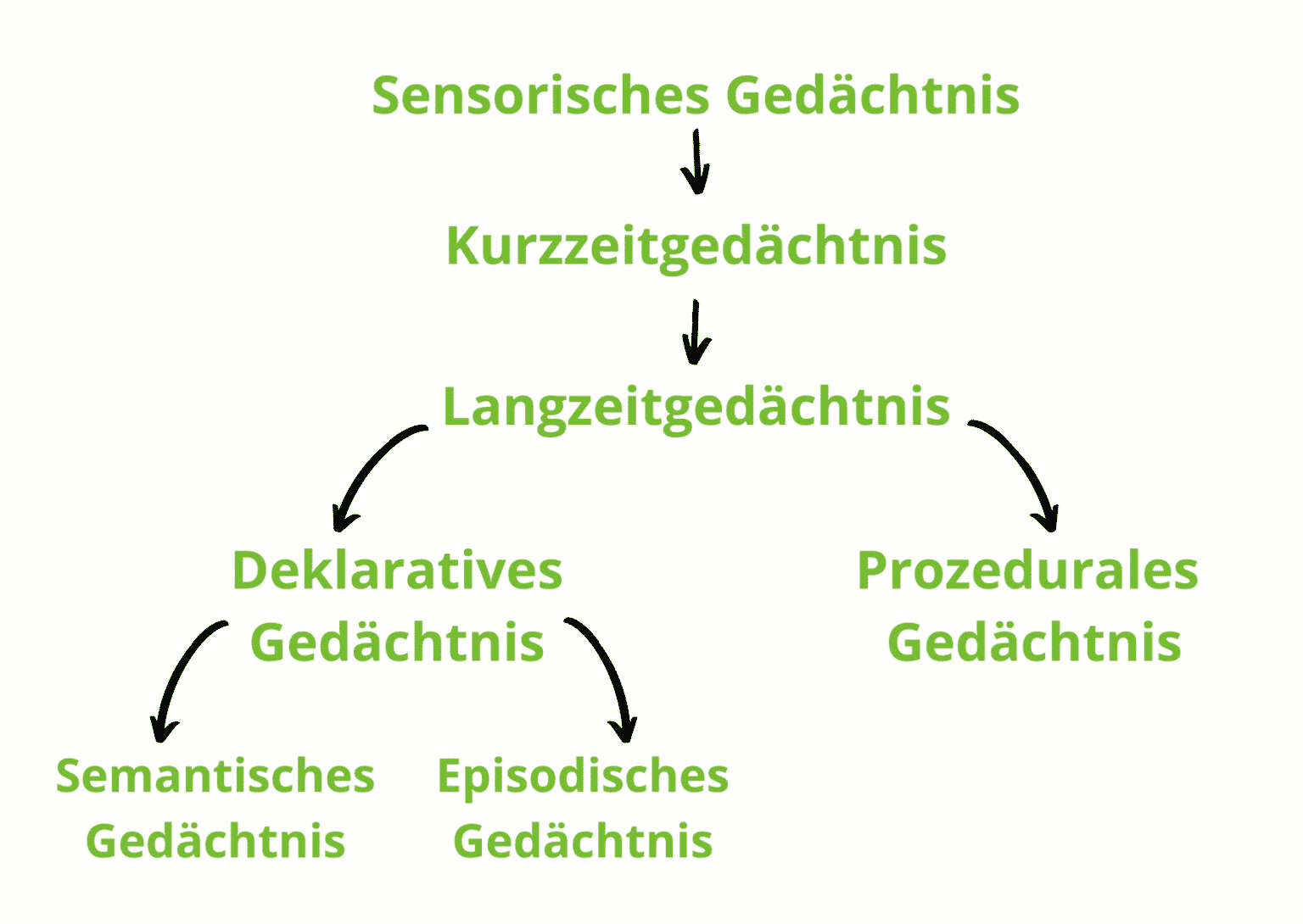 Erinnerung verbessern 8 Ursachen für Vergesslichkeit + 7 Tipps