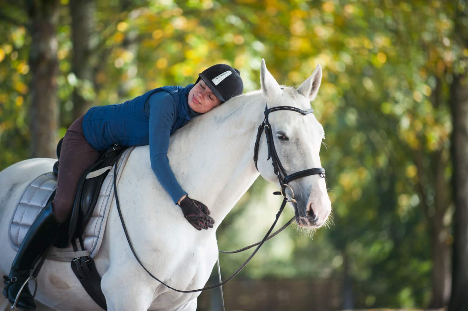Reiten lernen 8 Gründe für den Pferdesport & 10 Tipps für Anfänger