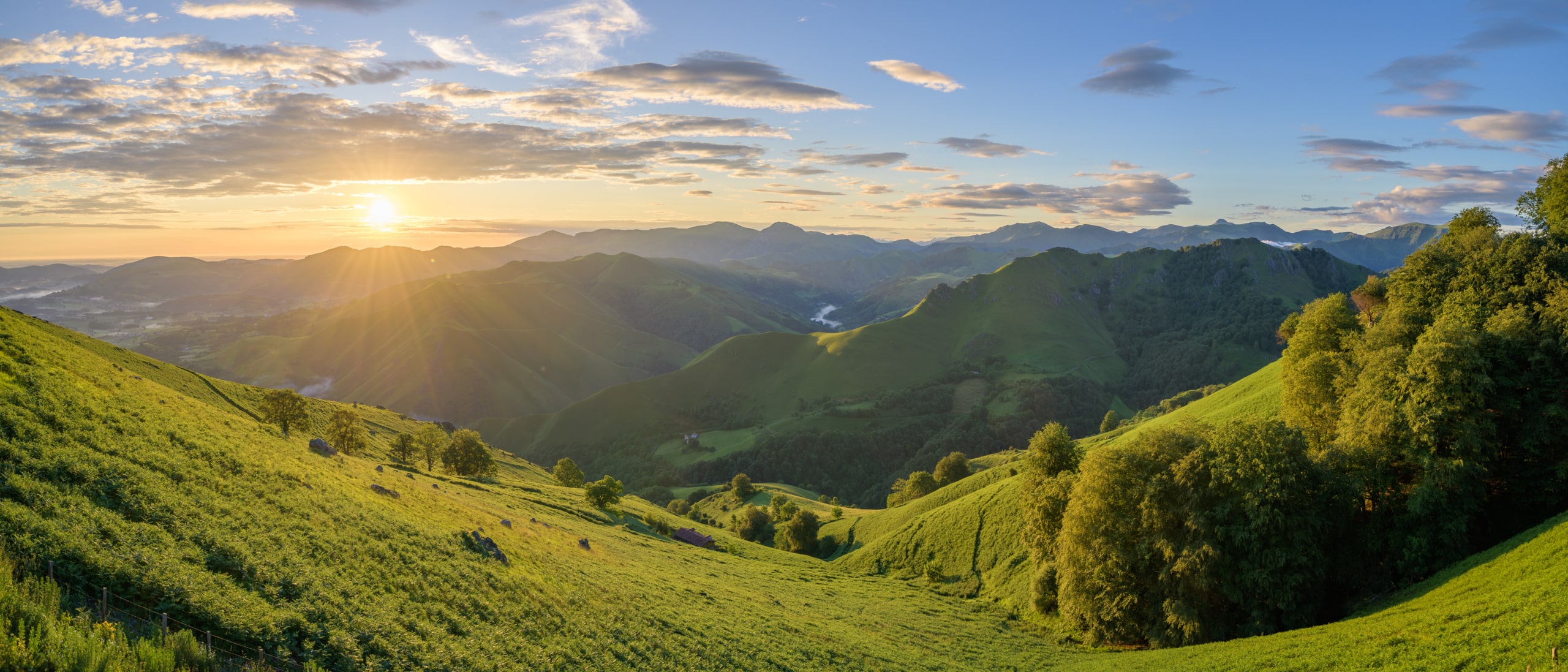 143 tolle Guten Morgen Grüße & Sprüche in 12 Kategorien